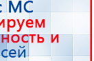 СКЭНАР-1-НТ (исполнение 01 VO) Скэнар Мастер купить в Егорьевске, Аппараты Скэнар купить в Егорьевске, Медицинская техника - denasosteo.ru